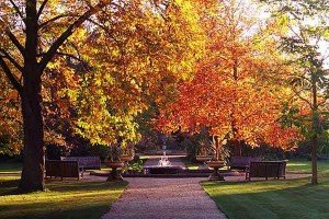 Oxford_Botanic_Garden